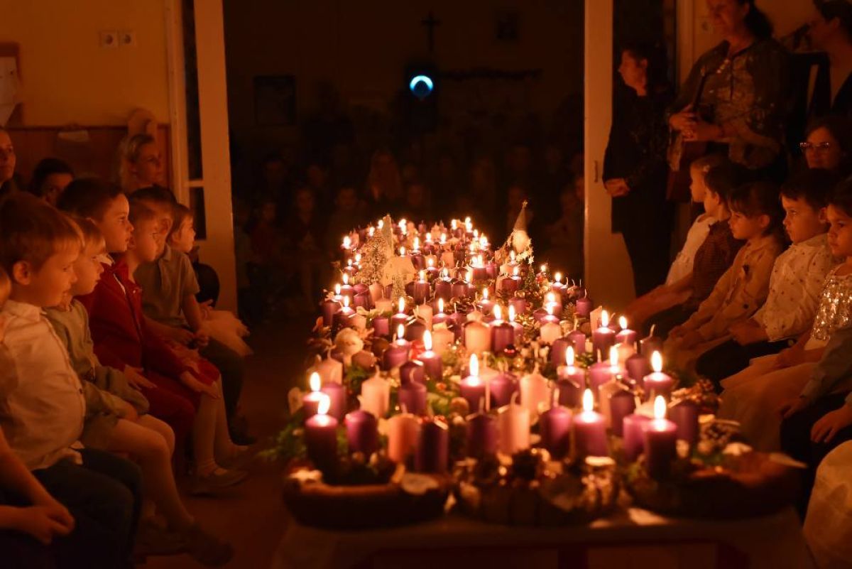 Adventi hírnök: friss fenyőág